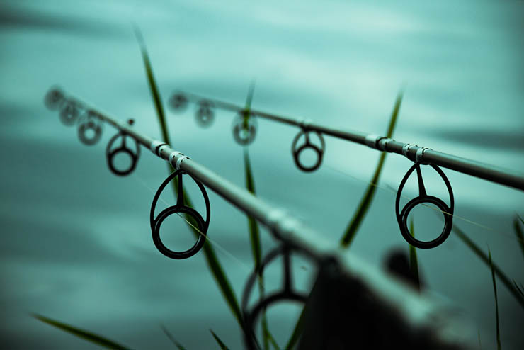 Rods